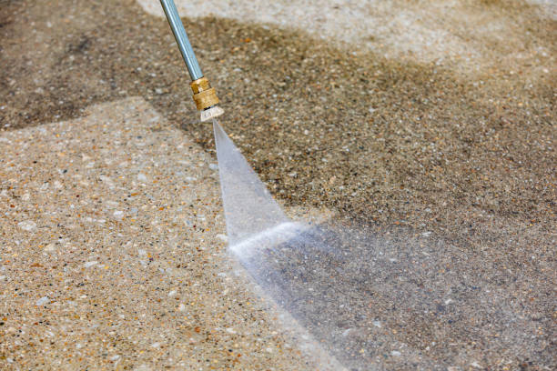 Best Pre-Holiday Cleaning  in Edmore, MI