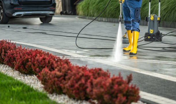Animal Enclosure Cleaning in Edmore, MI